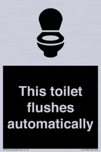 This toilet flushes automatically
